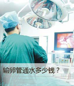 输卵管通水多少钱？