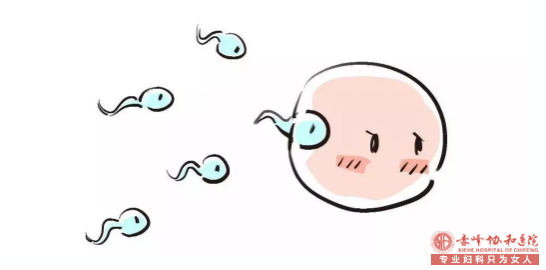 宁德女性须知:上环N个注意事项